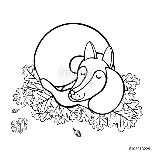 500x500 Cute Cartoon Sleeping Fox On Oak Leaves Stock Image And Royalty