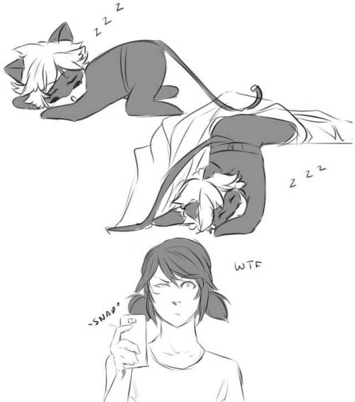 500x566 Sleeping Poses Tumblr