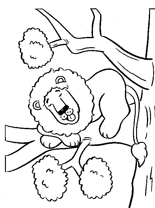 500x670 Lion Sleeping