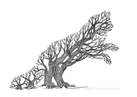 570x404 Treelionk Illustration Drawing Of A Lion Made Of Trees