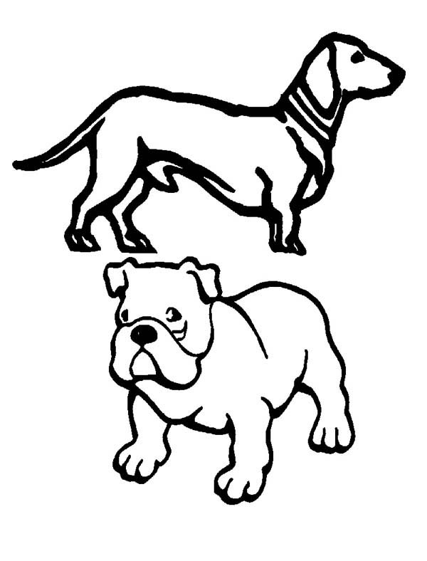 600x788 Pug Dog And Slinky Coloring Page Color Luna