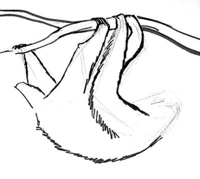 400x359 How To Draw A Sloth