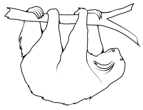 290x223 Sloth