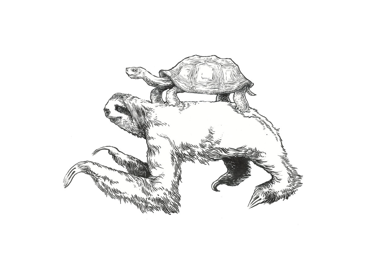 1200x857 Sloth Amp Turtle