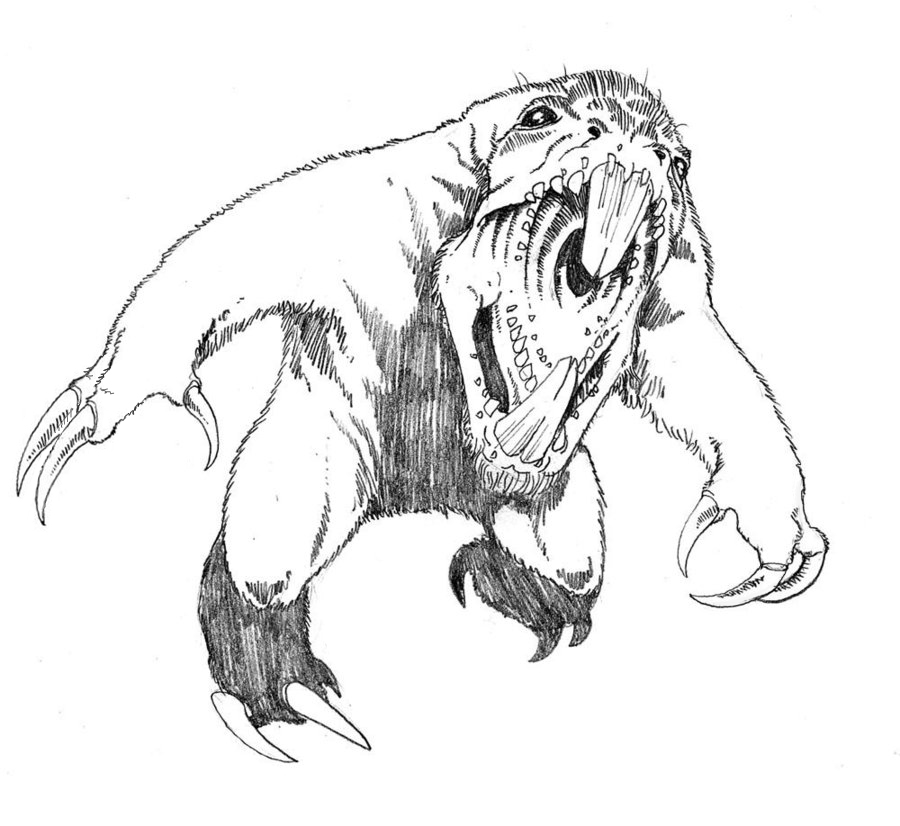 900x826 Sloth By Gogmangog