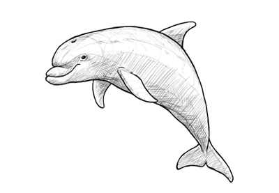 400x277 How To Draw A Sloth Step By Step