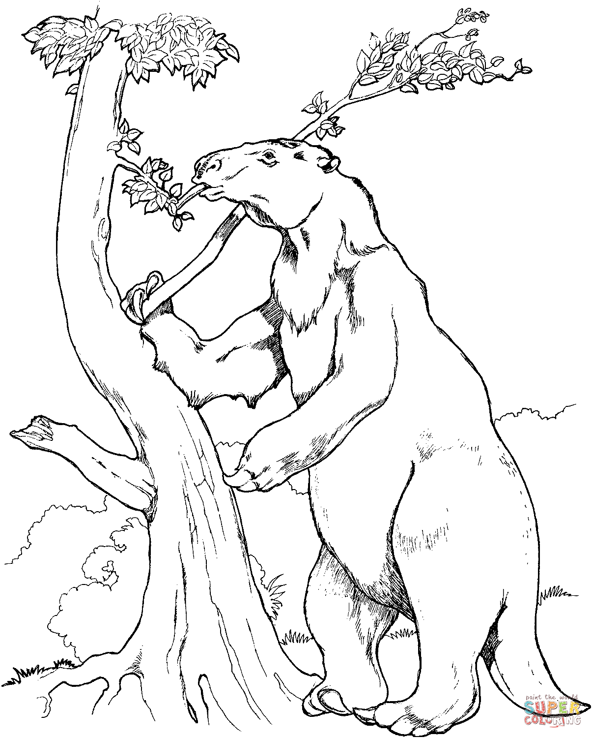 1205x1500 Prehistoric Giant Ground Sloth Coloring Page Free Printable