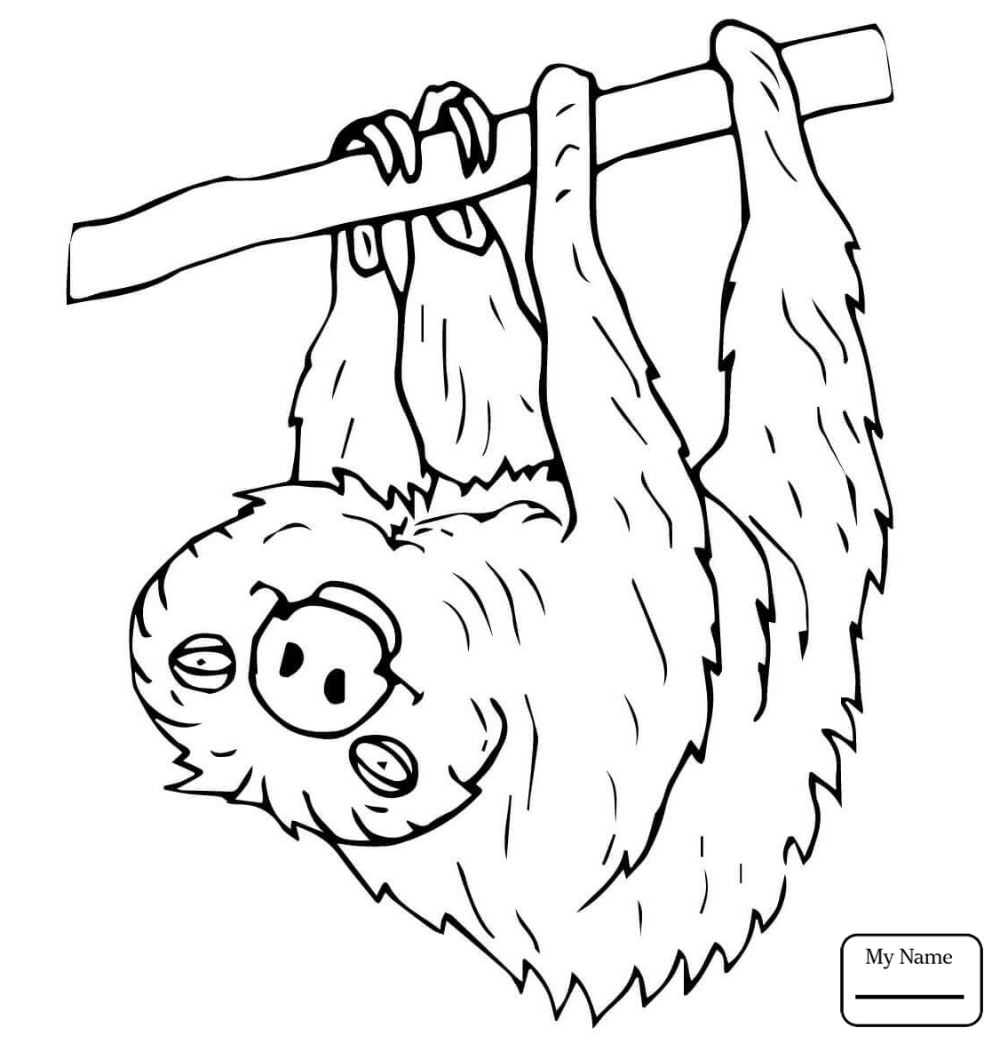 1126x1175 Coloring Pages Sloths Mammals Sloth