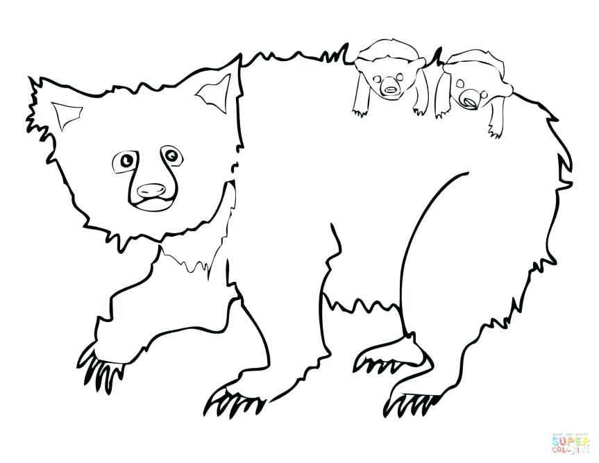 863x667 Minimalist Sloth Coloring Page Online