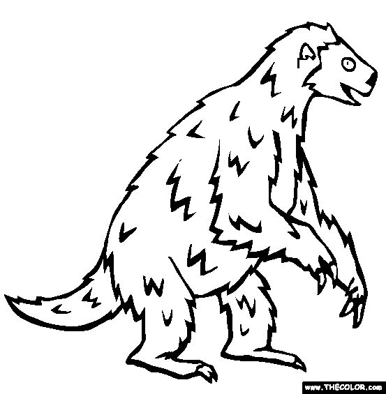 553x565 Sloth Coloring Pages