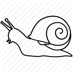 256x256 Escargot, Freshwater, Land, Mollusc, Sea, Slow, Snail Icon Icon