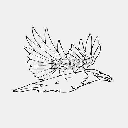 450x450 Hand Drawn Pencil Graphics,small Bird, Starling, Woodpecker