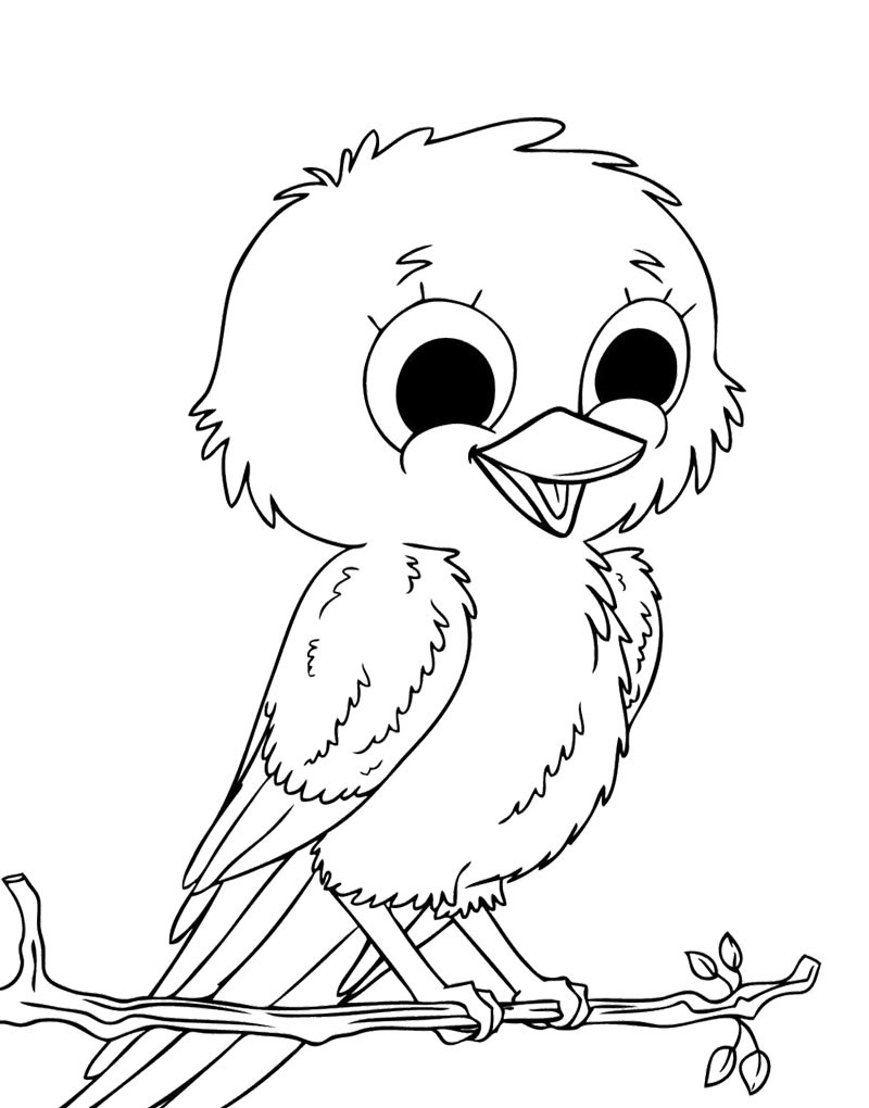 800x1020 Easy Bird Coloring Pages Fresh Cute Little Birds Coloring Page