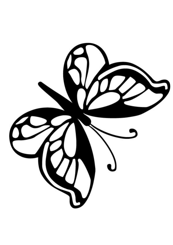 601x850 Small Butterfly Coloring Page. Let Your Imagination Soar And Color