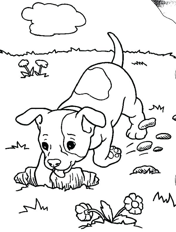 600x790 Small Dog Coloring Pages Chihuahua Dog Digging A Hole Coloring