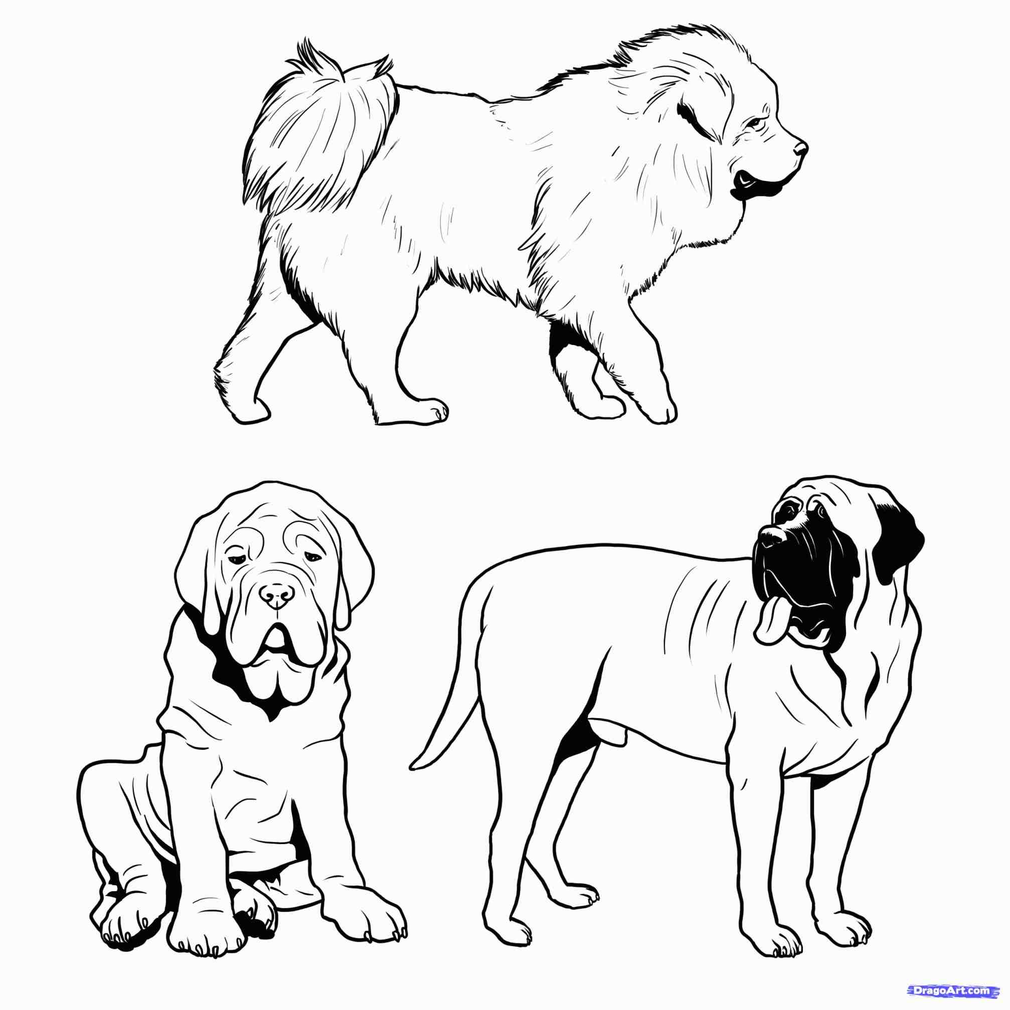 2014x2014 The Images Collection Of Coloring Dog Drawing For Kids Pages