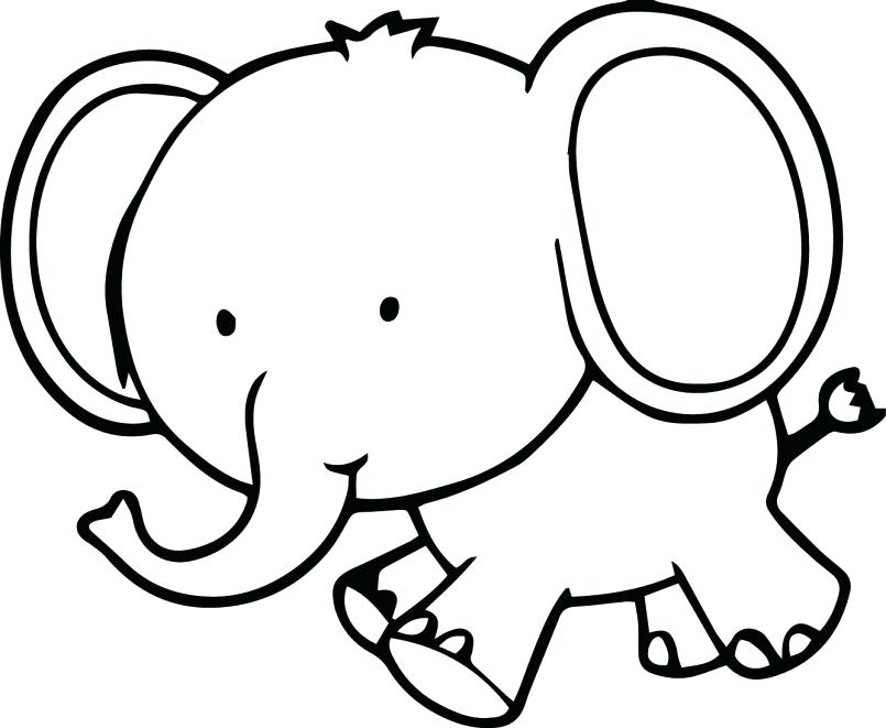 805x661 Elephant Color Page Coloring Pages Cute Small Elephant Coloring