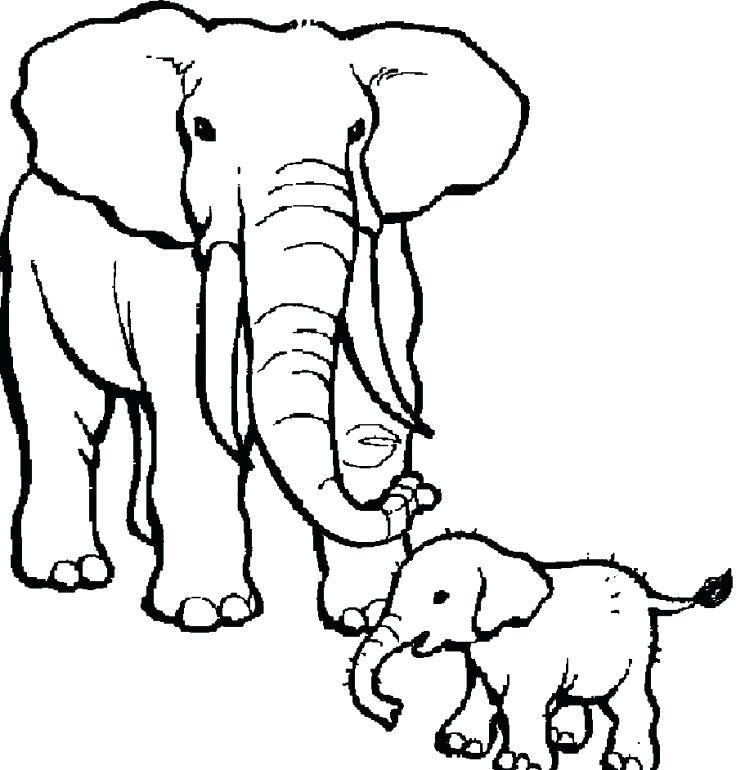 736x770 Elephants To Color Inspirational Elephant Pictures To Color Media