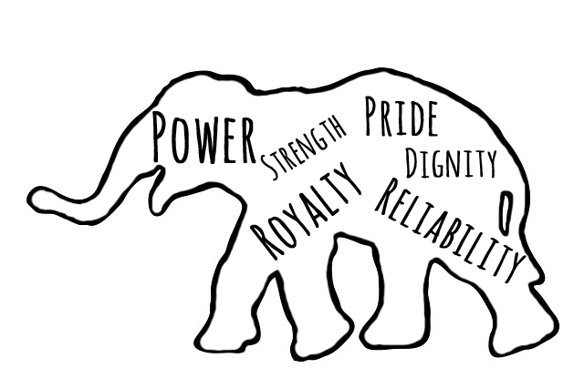 640x427 Sunset Baby Elephant