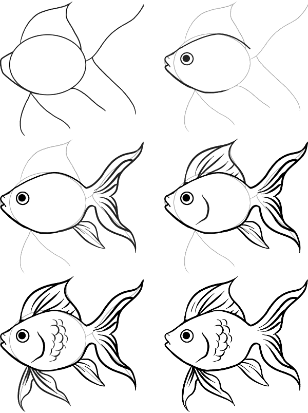 600x804 Drawing Of Simple Fish 10 Step By Step Lessons, Part 3