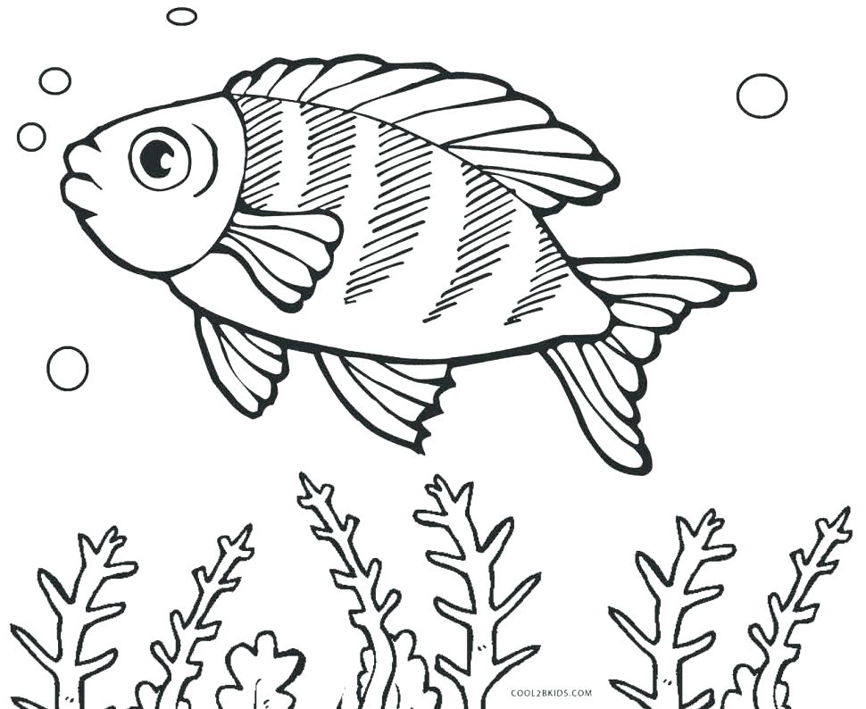 970x794 Entertaining Fish Coloring Pages New Color Free Rainbow Printable