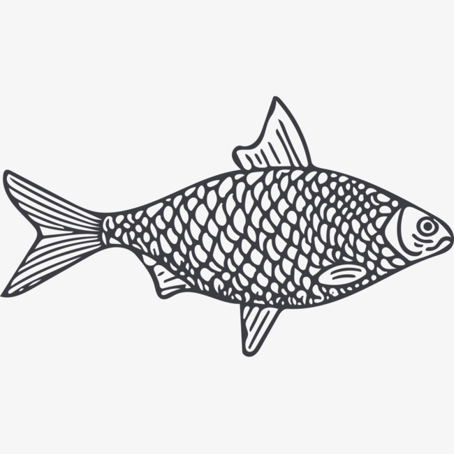 650x651 Hand Painted Small Fish, Hand Painting, Small Fish, Fish Png Image