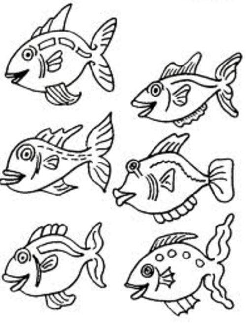 500x656 Small Fish Coloring Pages For Kids Gtgt Disney Coloring Pages