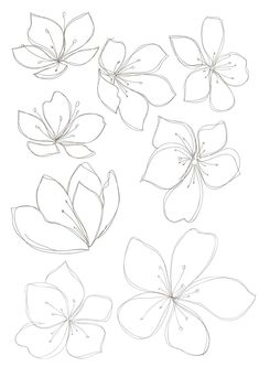 235x333 Set Of Flowers. Vector Illustration. Drawing Flowers, Drawings