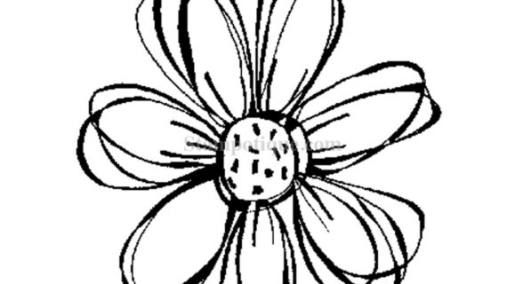 570x320 Small Flower Drawings Carol39s Flower Small