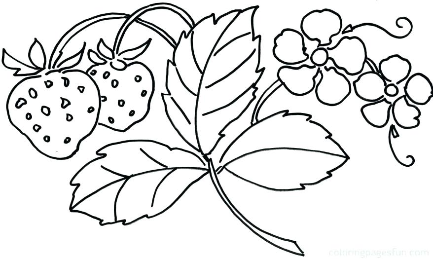 878x525 Flower Coloring Pages Printable Free Flower Coloring Pages