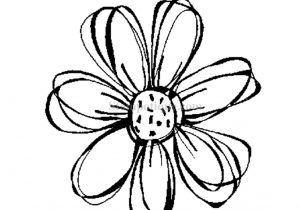 300x210 Small Flower Drawings Small Flower Drawings Small Flowers Drawing