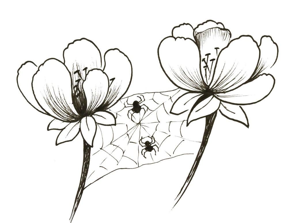 1024x776 Small Flower Drawings Small Flowers Drawing 1000 Images About