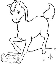 236x272 Cow 10 Adult Coloring Pages Animal Colouring Pages