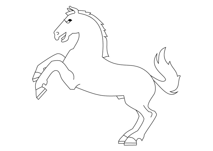 750x531 Coloring Page Horse On Haunches