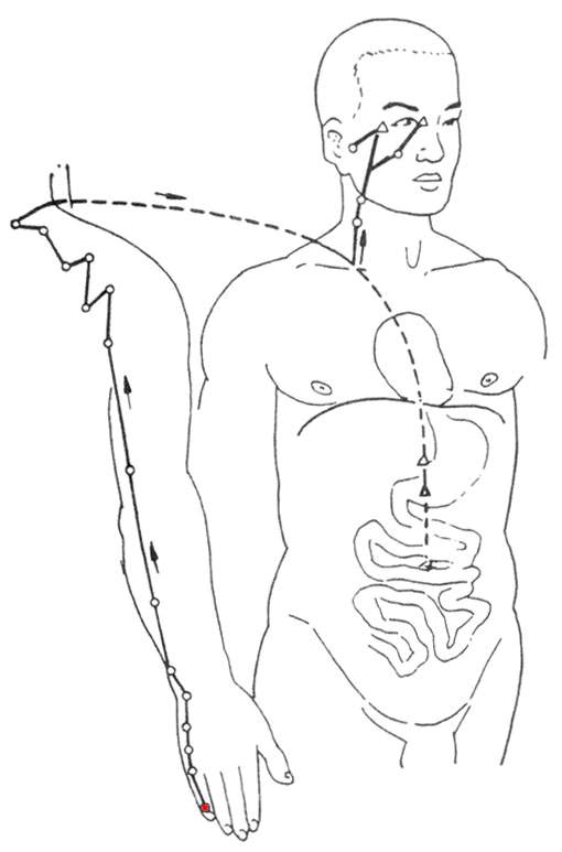 510x773 Taiyang Small Intestine Meridian Of Hand