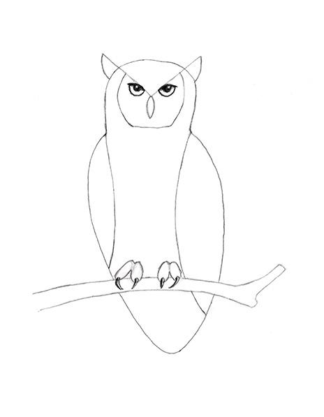 464x597 How To Draw An Owl Lovetoknow