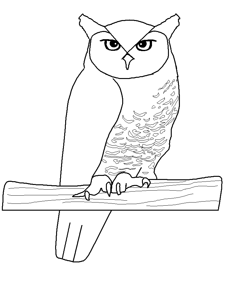718x957 Owl Coloring Page Animal Coloring Page