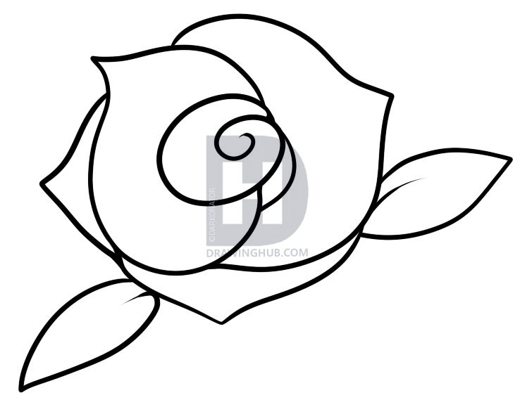 738x579 Photos How To Draw A Small Rose,