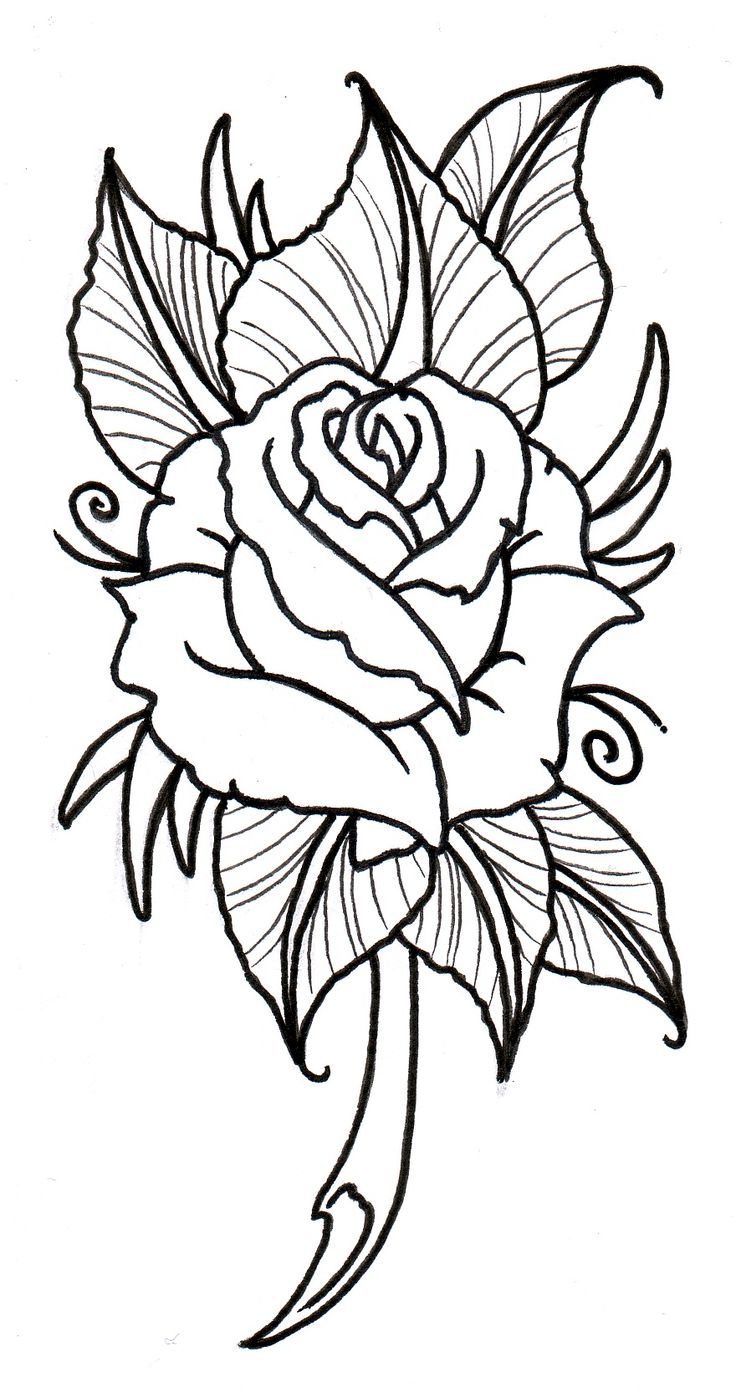 Small Rose Drawing at GetDrawings | Free download