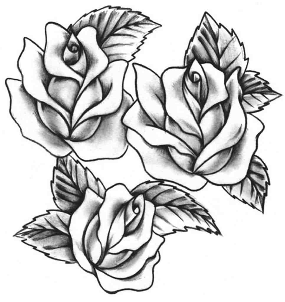 Small Rose Drawing at GetDrawings Free download