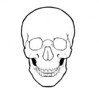 320x320 Tag For Simple Kitchen Design Ideas Skull Drawing Best Images