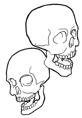 284x406 Dual Skulls Two Small Skull Sketches Joe 13