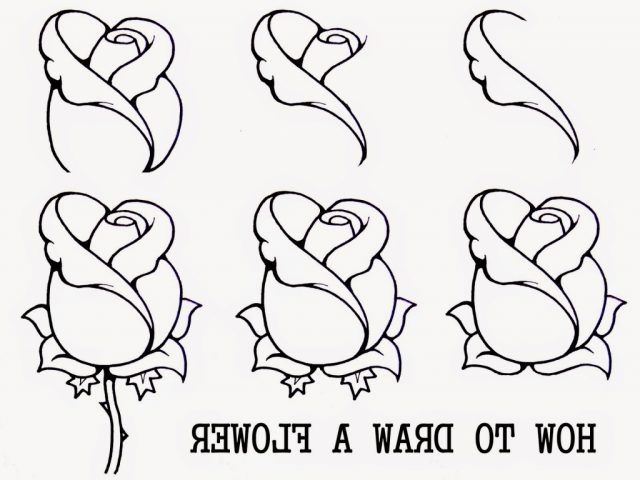 640x480 Drawings Of Flowers Step By Step How To Draw A Flower Stepstep