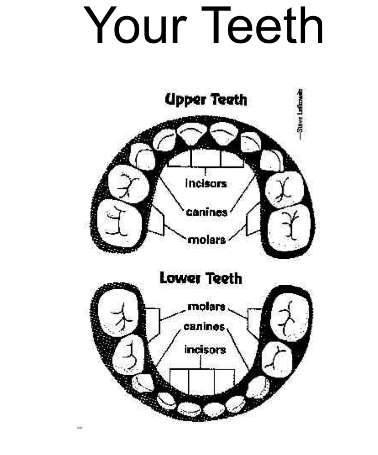 The best free Labelling drawing images. Download from 13 free drawings ...