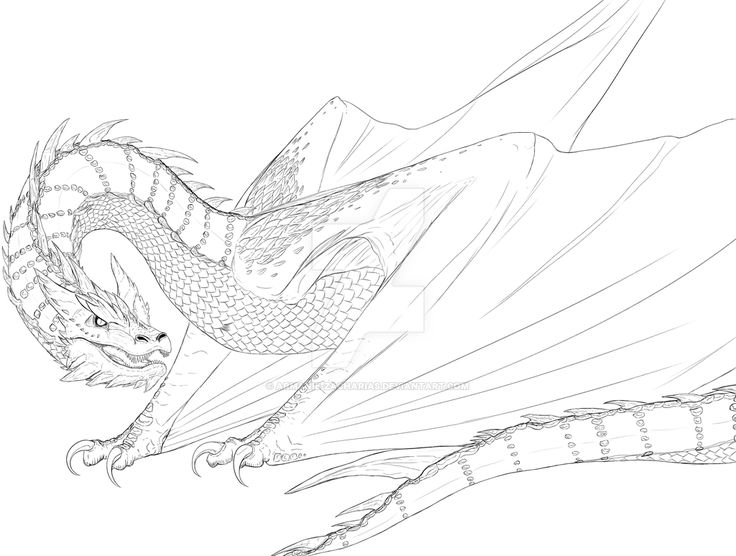 736x556 7 Best Dragons Images