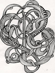 227x300 Rapidograph Drawings