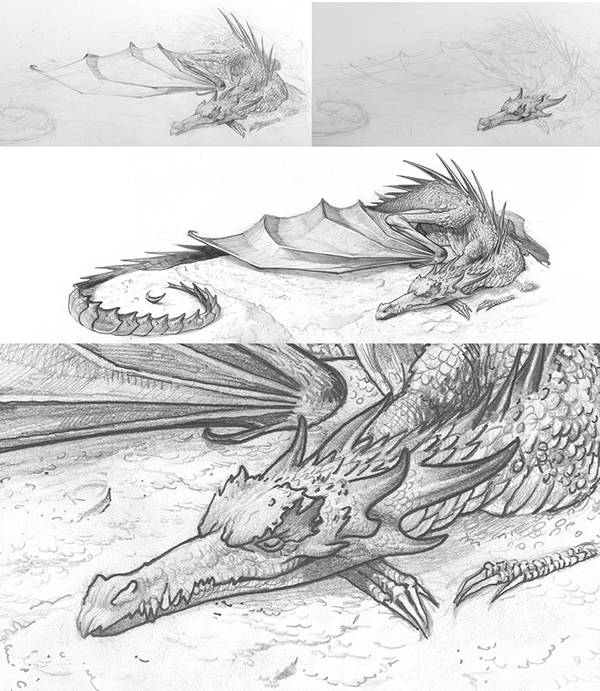 600x691 Smaug On Behance