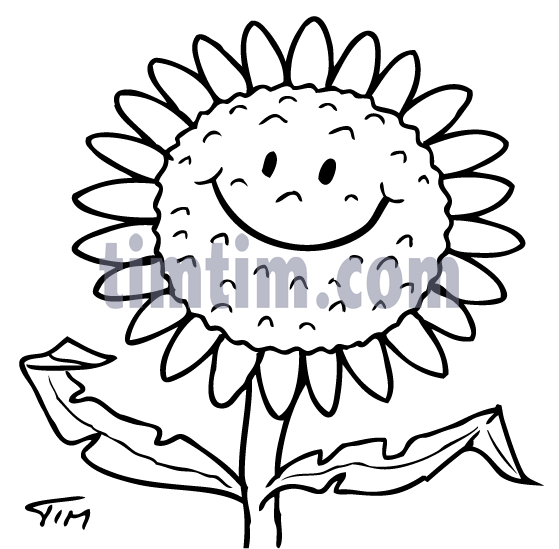 559x549 Free Drawing Of A Sunflower Smiley Face Bw From The Category