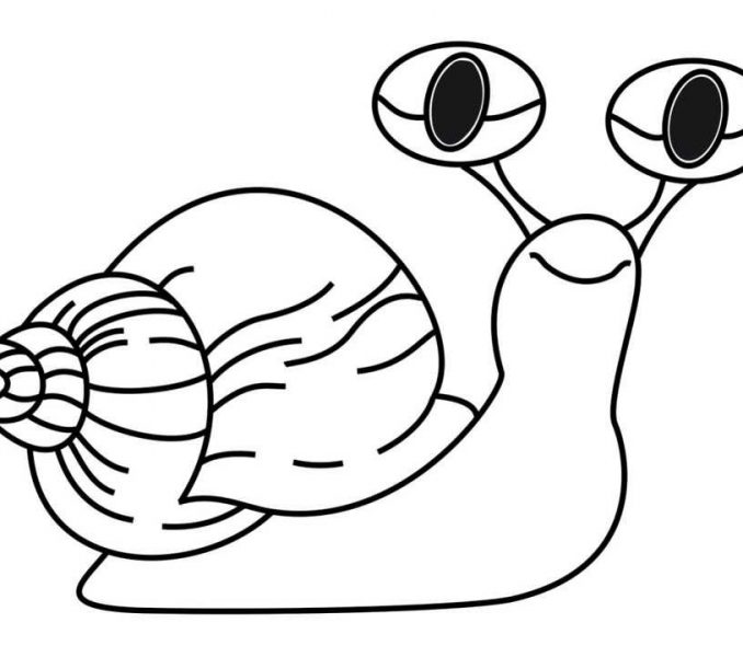 678x600 Free Drawing Of A Snail 34 About Remodel Free Coloring Pages
