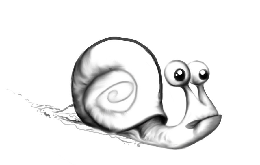 900x571 Funny Snail By Akenator